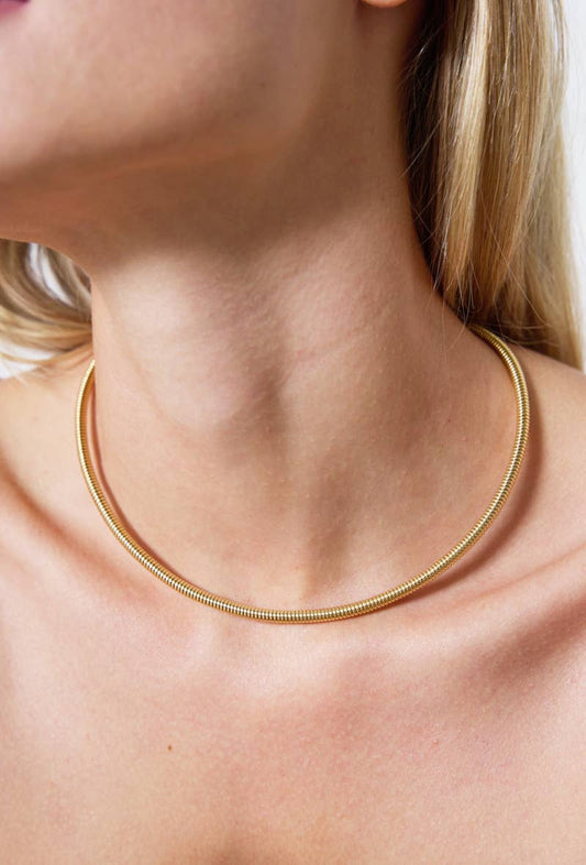 Collier en acier inoxydable 224AQ59