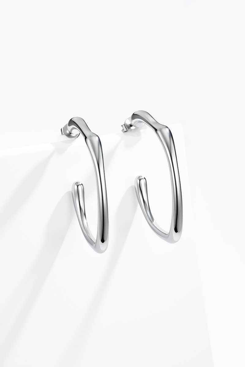 Stainless steel earrings 124AQ560