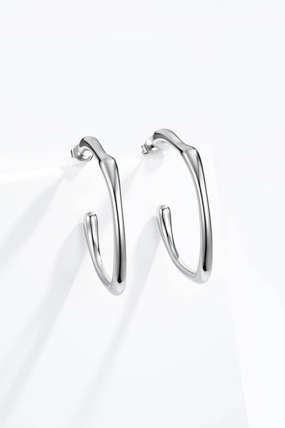 Stainless steel earrings 124AQ560