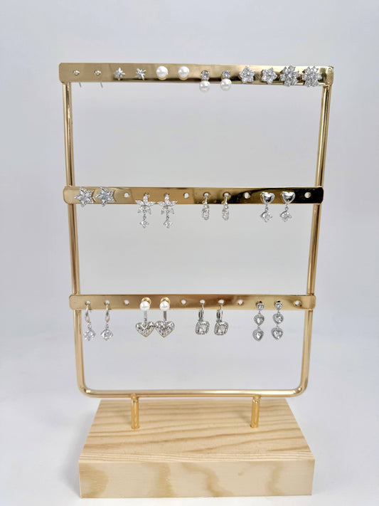 Set of 12 stainless steel earrings SET249