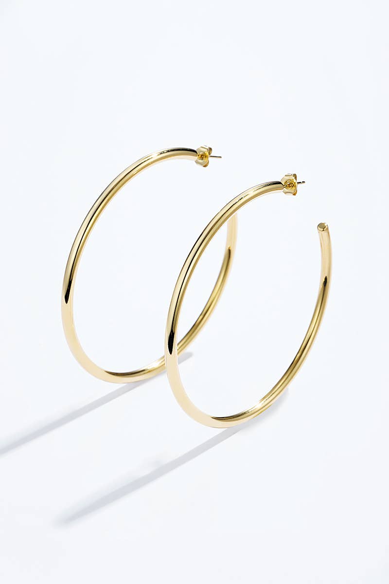 Boucles d'oreilles en acier inoxydable 124AQ374
