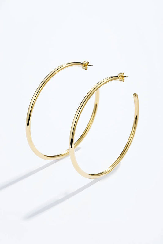 Boucles d'oreilles en acier inoxydable 124AQ374