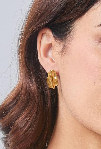 Stainless steel earrings 124DY31