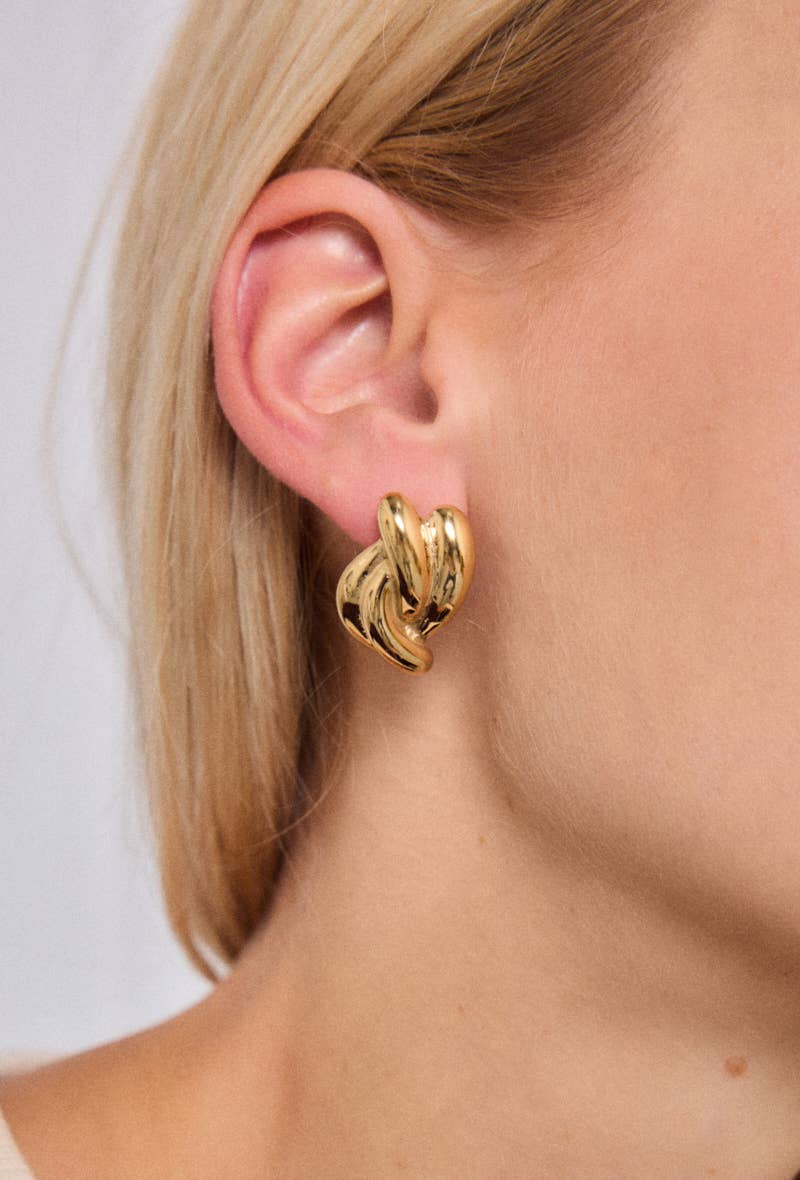 Stainless steel earrings 124AQ502