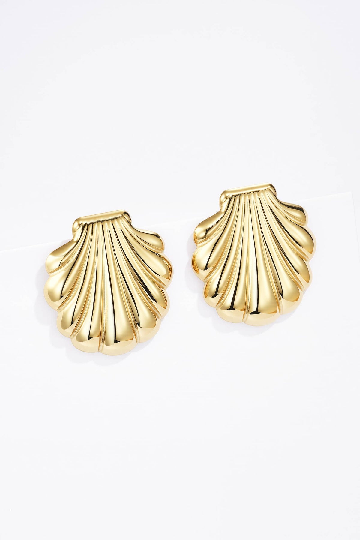 124AQ423 stainless steel earrings