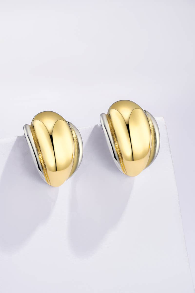 Stainless steel earrings 124AQ513