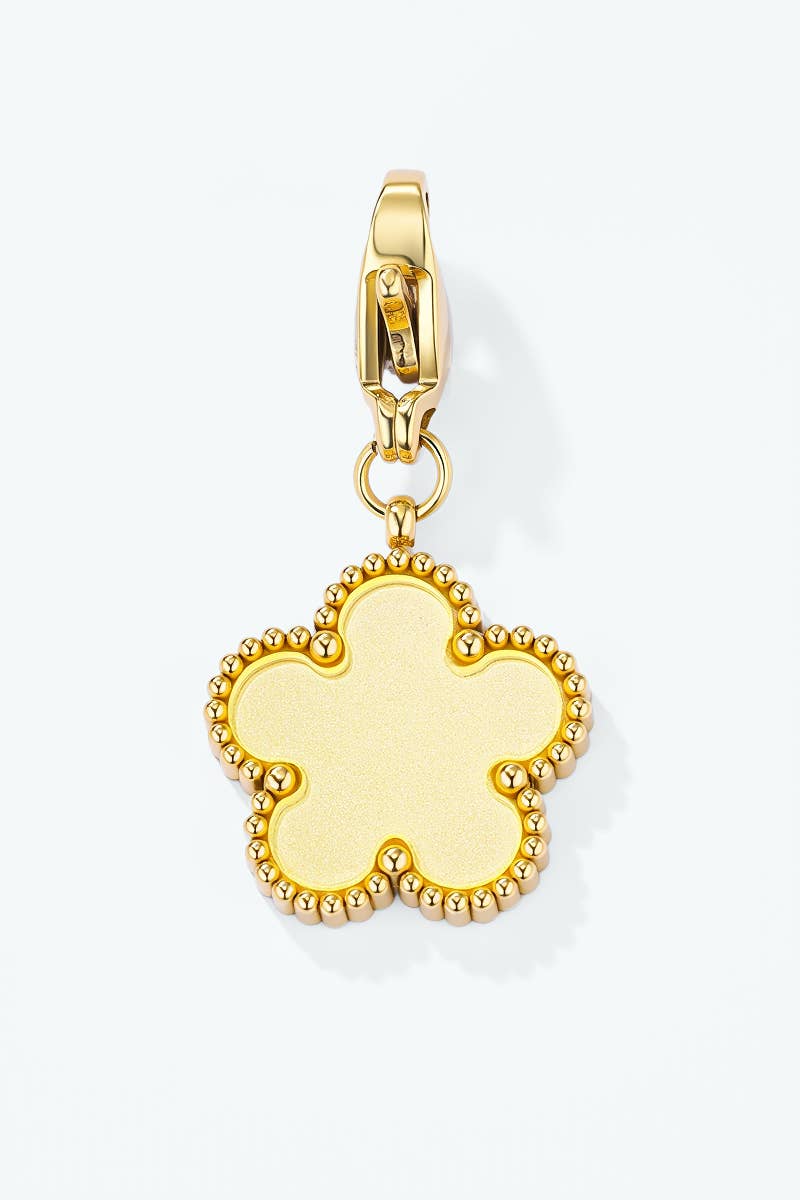 Stainless steel charm CHARM001AQ
