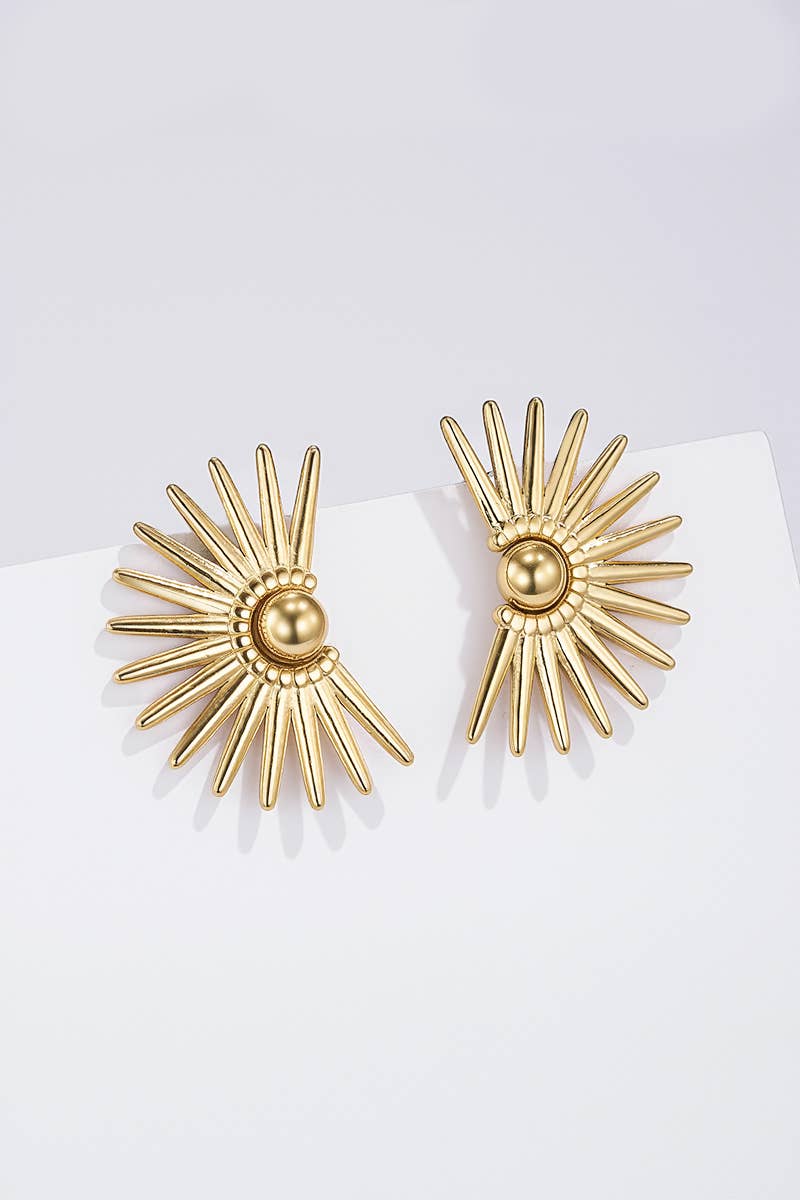 Stainless steel earrings 124RX259