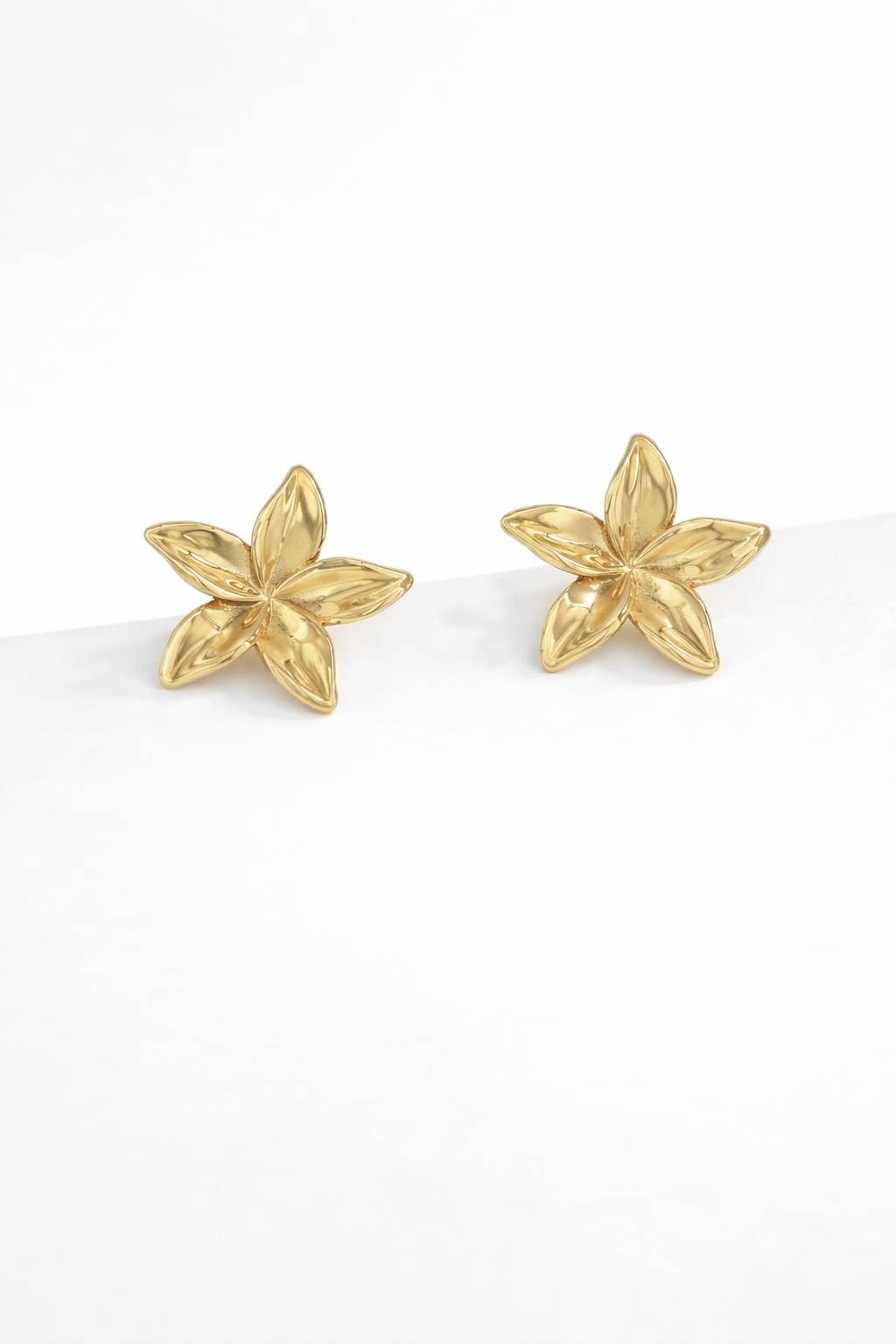 Boucles d'oreilles en acier inoxydable 124AQ270