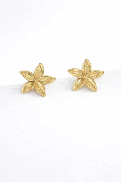 Boucles d'oreilles en acier inoxydable 124AQ270