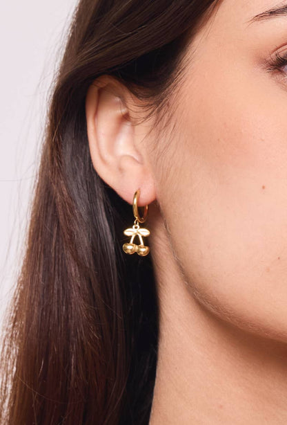 Stainless steel earrings 124AQ393