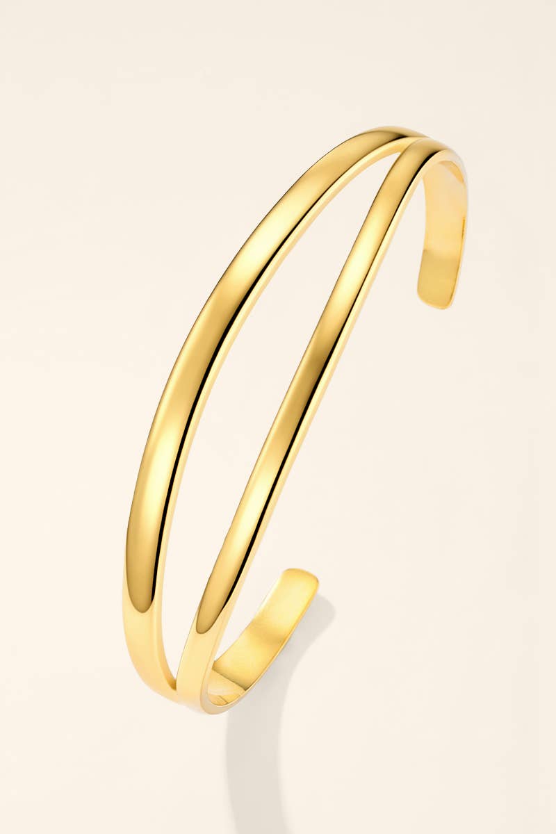 Bracelet jonc double rang en acier inoxydable 324AQ556