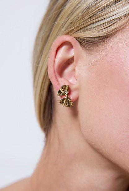 Stainless steel earrings 124AQ265