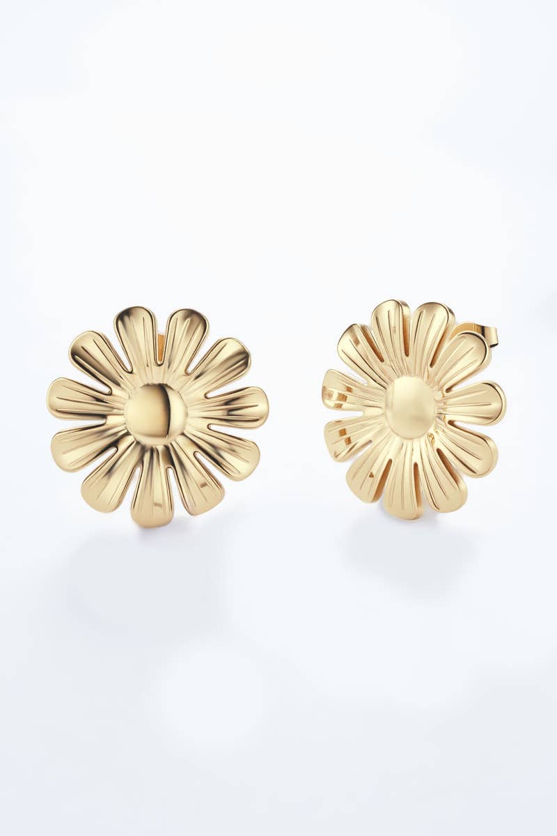 124RX126 stainless steel earrings