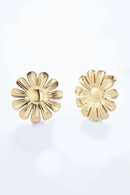 124RX126 stainless steel earrings