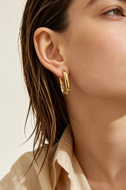 Stainless steel earrings 124AQ697