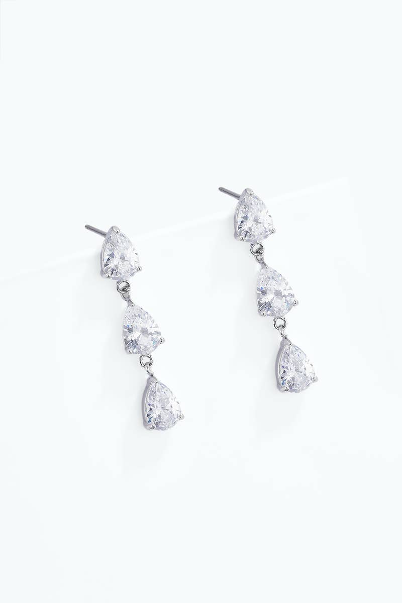 Stainless steel earrings 124AQ752
