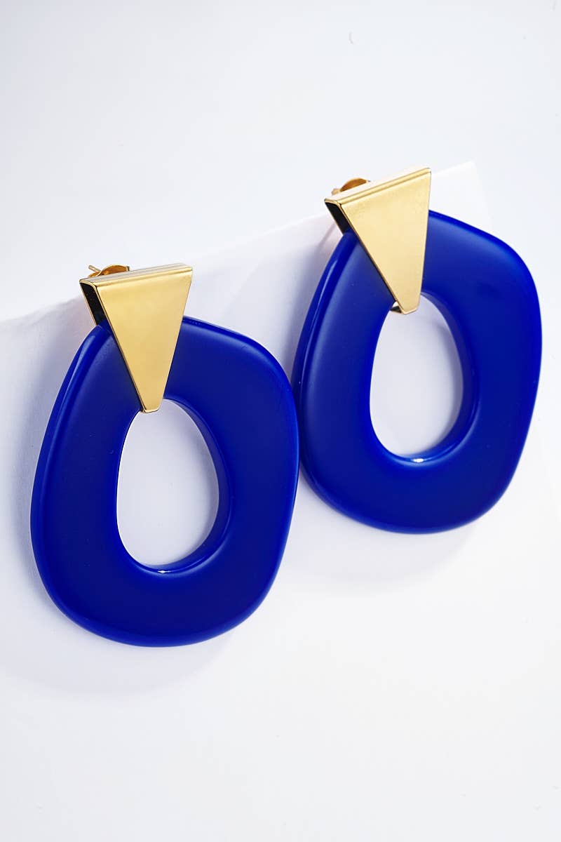 124CP07 stainless steel earrings