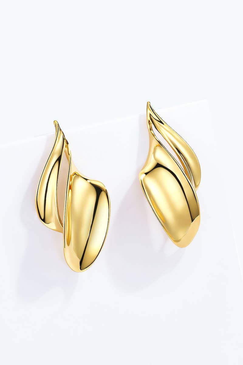 Stainless steel earrings 124AQ683