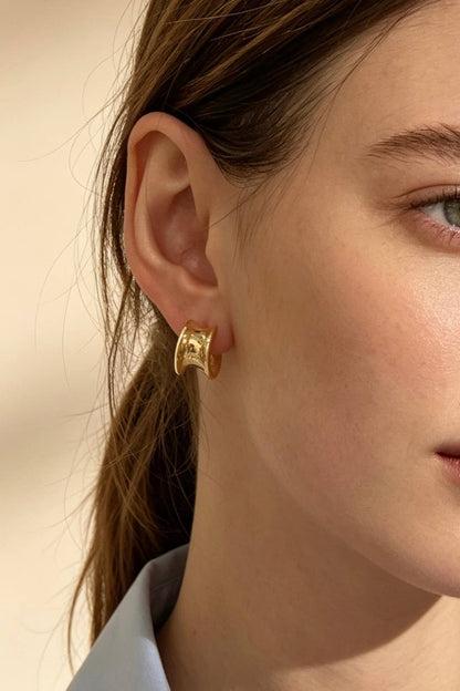 Stainless steel earrings 124AQ722