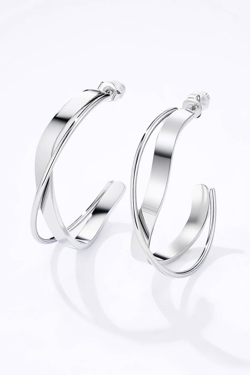Stainless steel earrings 124AQ401