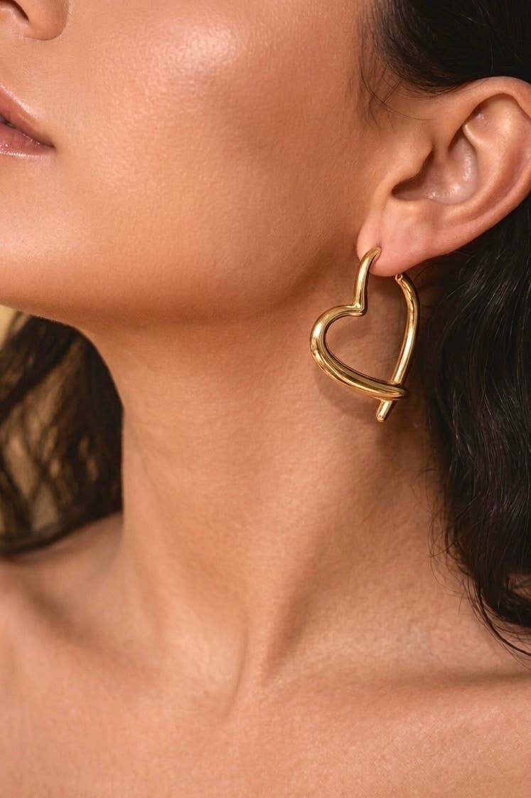 Stainless steel earrings 124AQ648