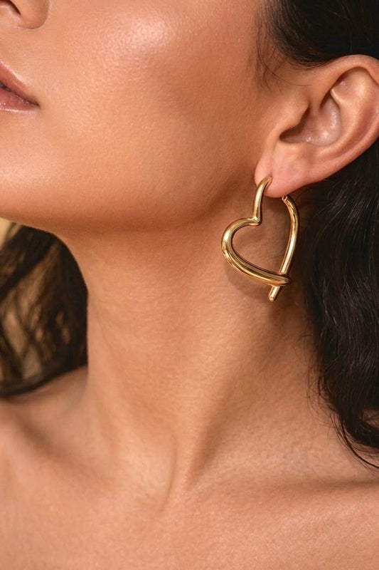 Stainless steel earrings 124AQ648