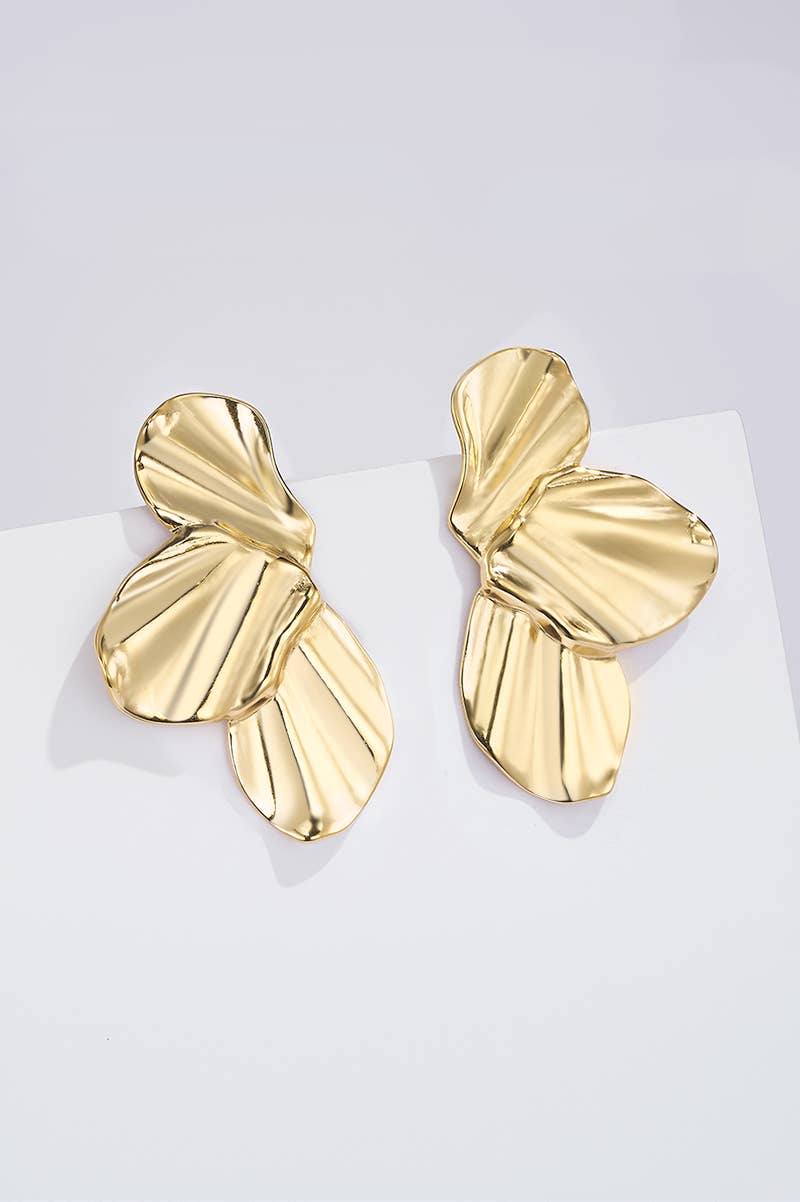 124RX267 stainless steel earrings