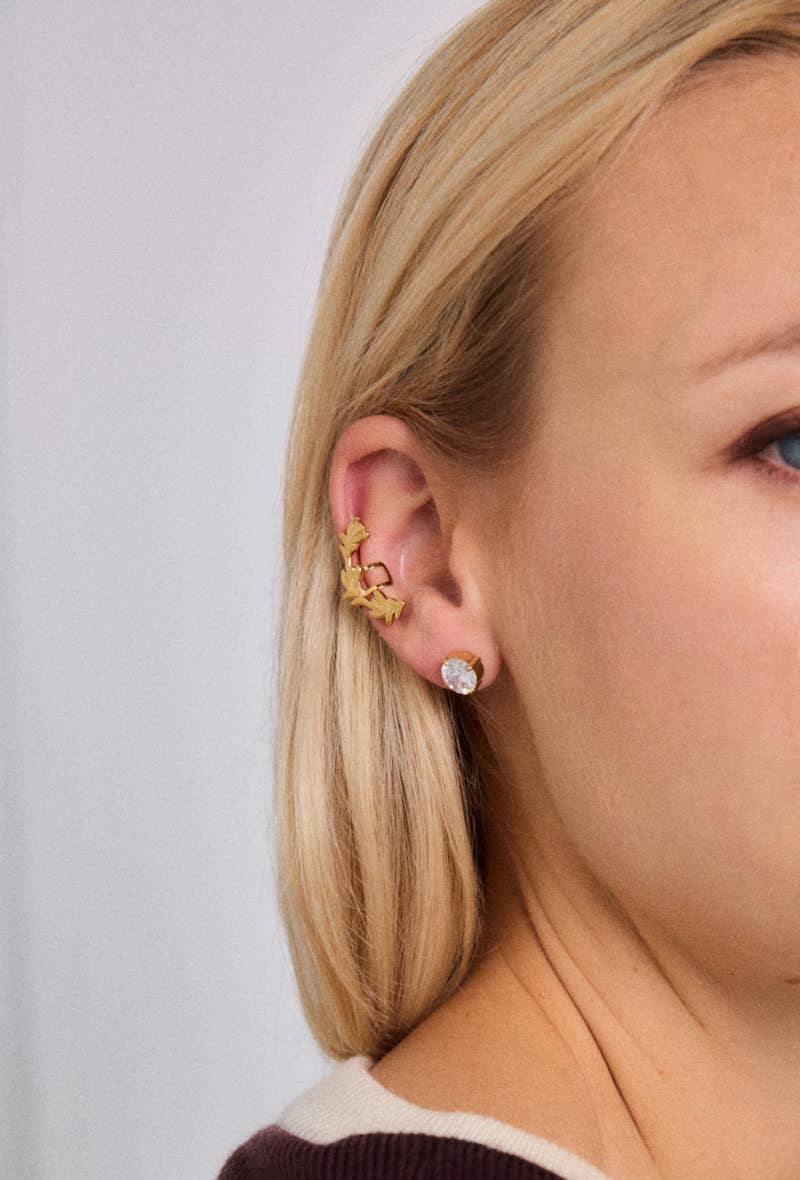 124RX163 stainless steel earrings