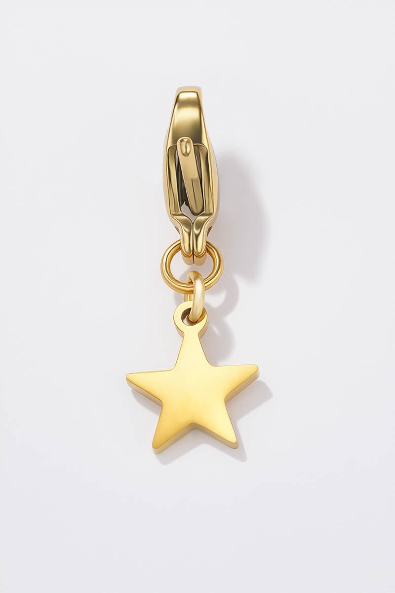 Charm breloque en acier inoxydable CHARM103AQ