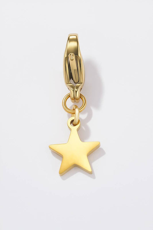 Charm breloque en acier inoxydable CHARM103AQ