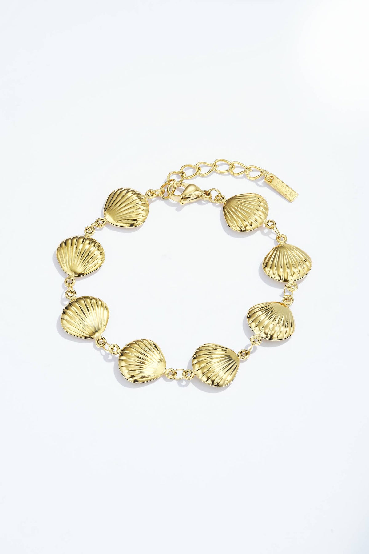 324AQ237 stainless steel bracelets