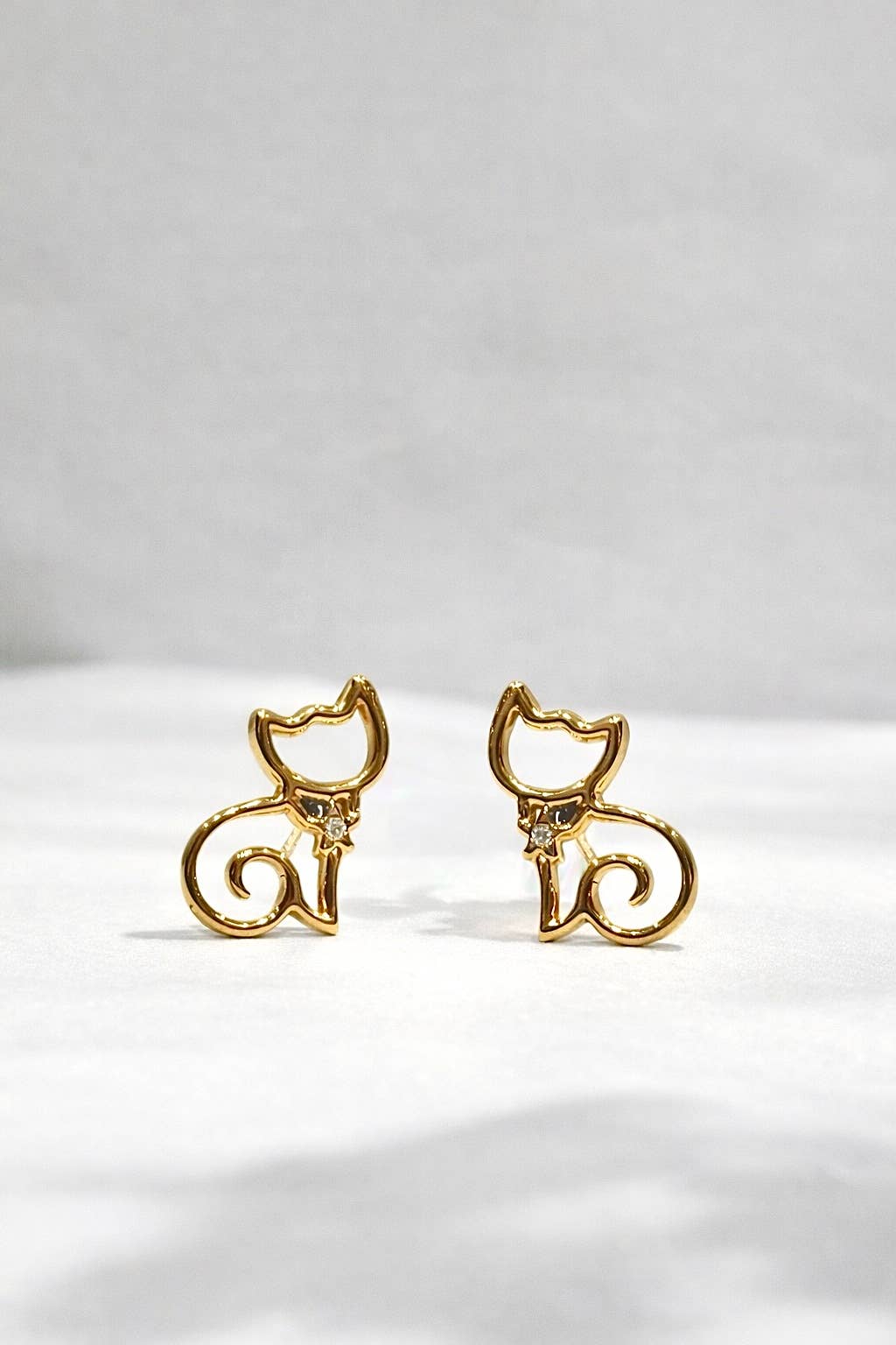 Boucles d'oreille en acier inoxydable 124RX143