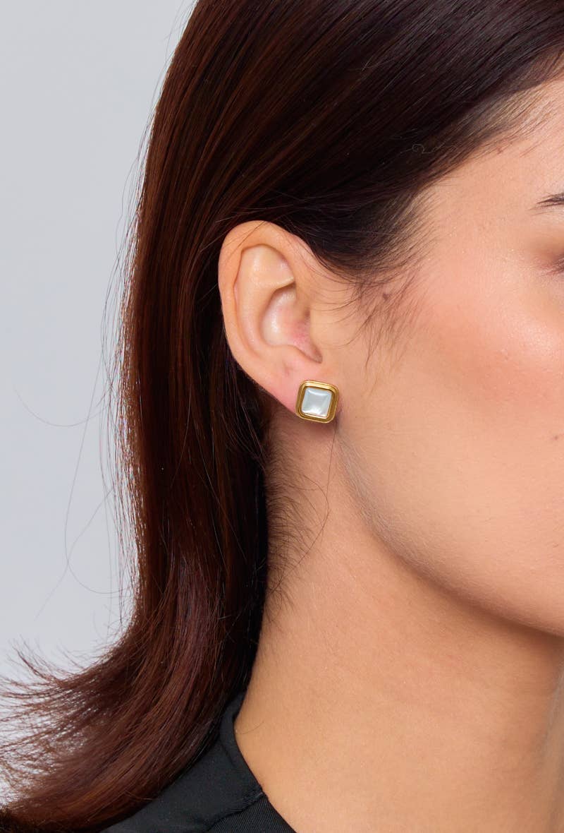 Boucles d'oreilles puces en acier inoxydable 124AQ133