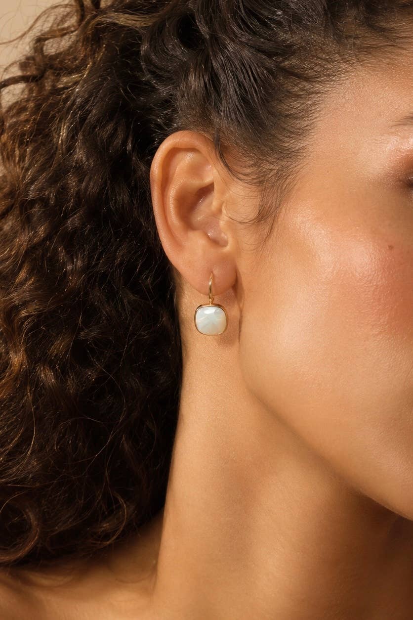Stainless steel earrings 124AQ718