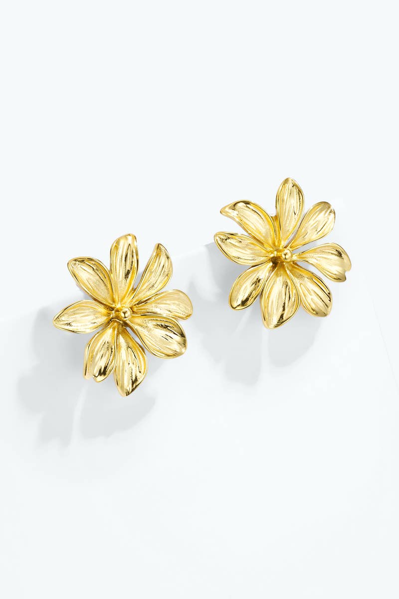 Stainless steel earrings 124AQ726