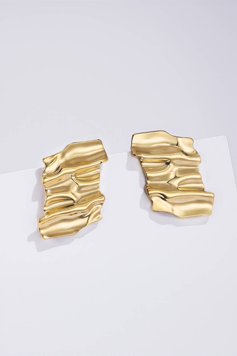 124RX261 stainless steel earrings
