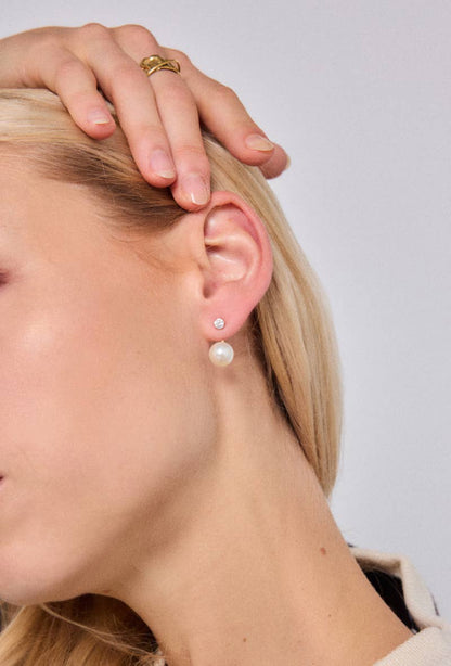 124RX212 stainless steel earrings
