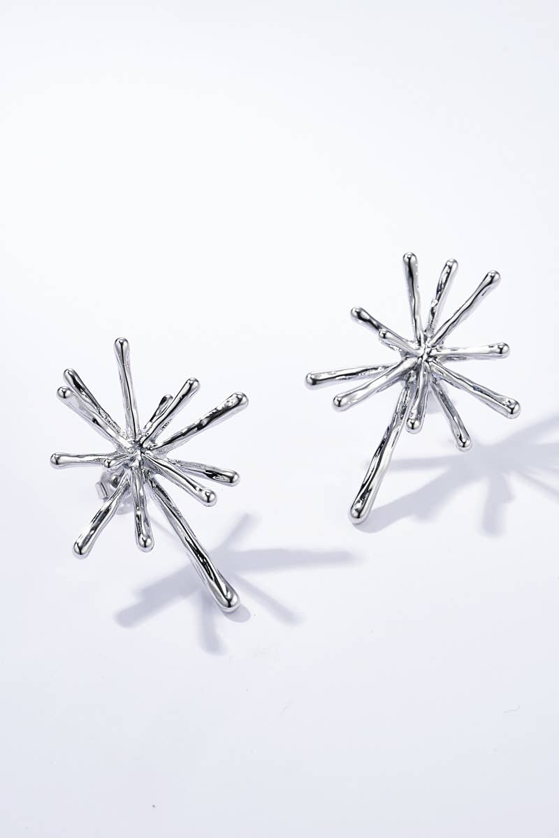 Boucles d'oreilles en acier inoxydable 124AQ294