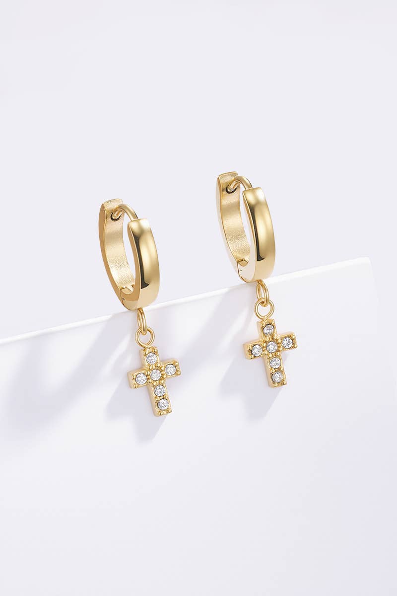 124AQ555 stainless steel earrings