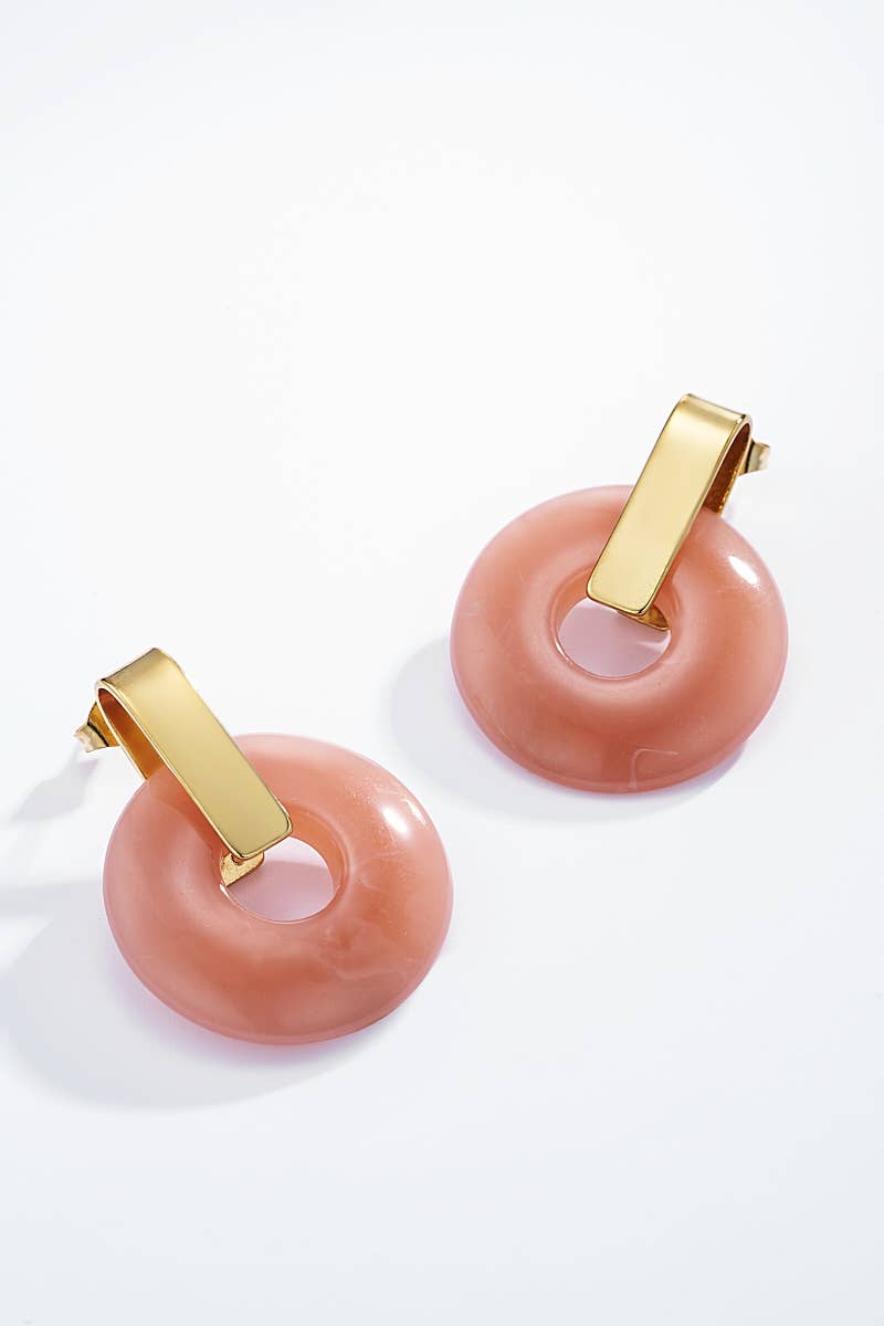 124CP04 stainless steel earrings