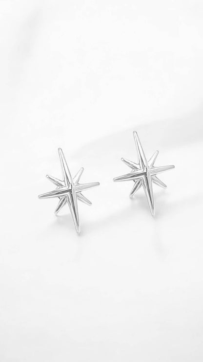 Stainless steel earrings 124AQ372
