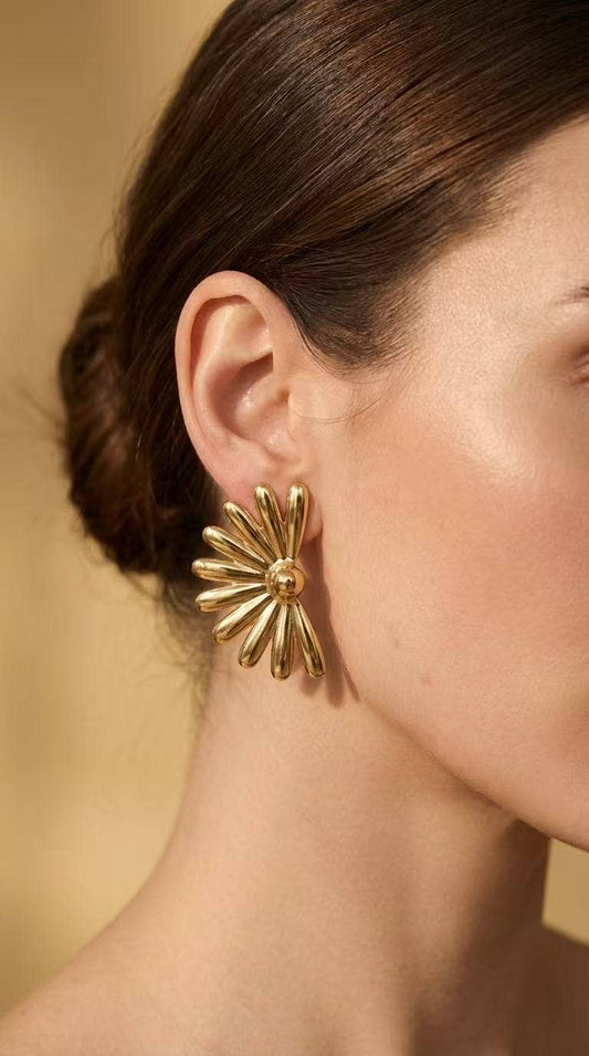 124RX262 stainless steel earrings