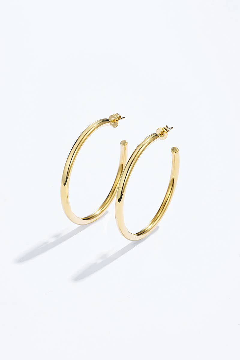 Stainless steel earrings 124AQ376