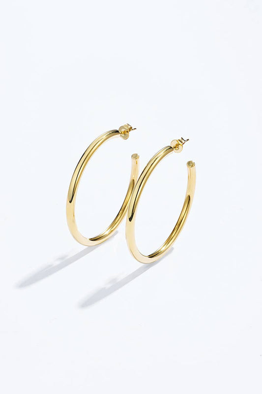 Boucles d'oreilles en acier inoxydable 124AQ376