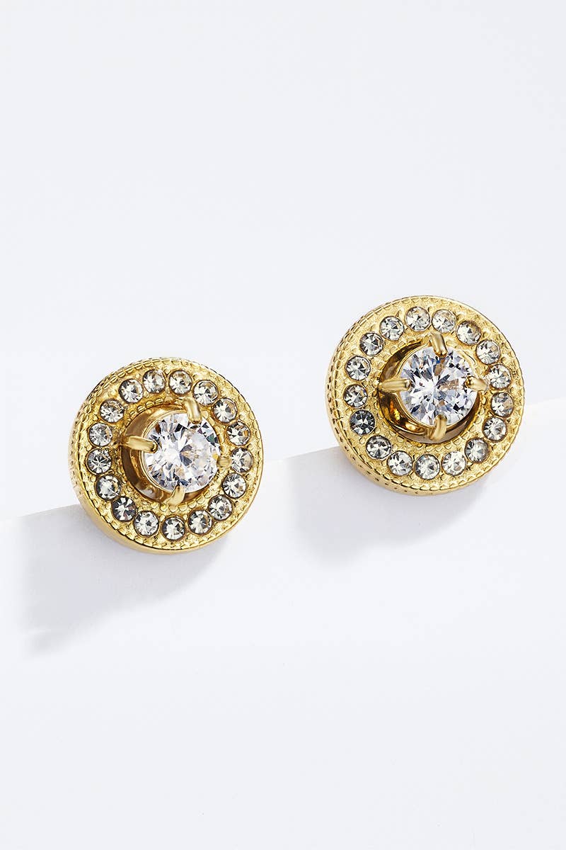 Stainless steel earrings 124RX147