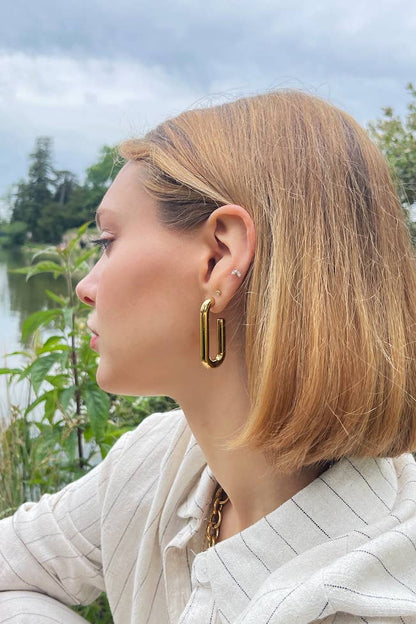 124RX117 stainless steel earrings