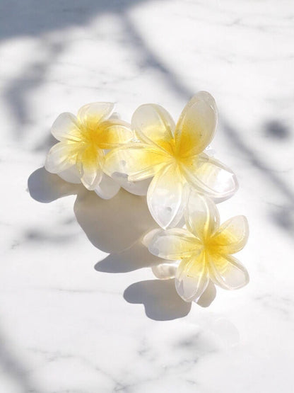 Flower-shaped hair clip YH20