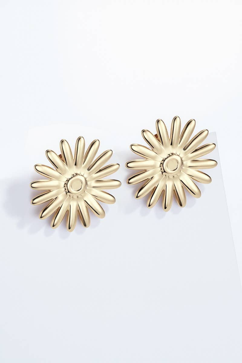 Stainless steel earrings 124RX127