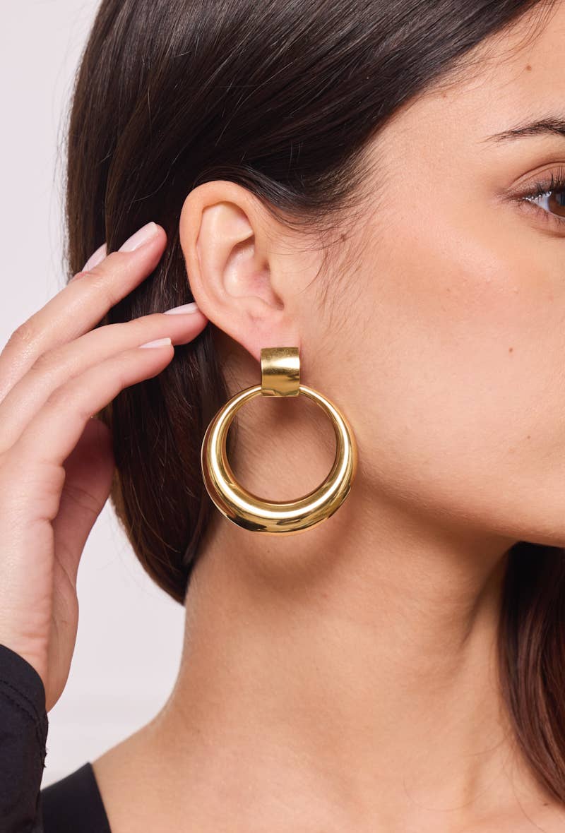 124AQ360 stainless steel earrings